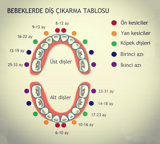 Bebekler Ne Zaman Diş Çıkarır