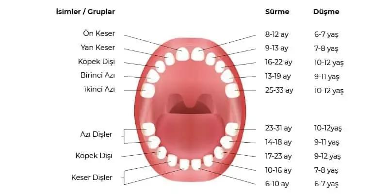 Bebekler Ne Zaman Diş Çıkarır