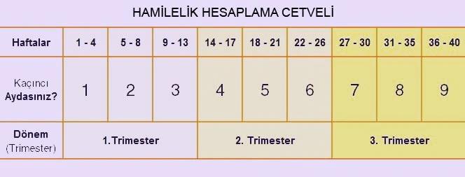 Hamilelik Hesaplama Cetveli