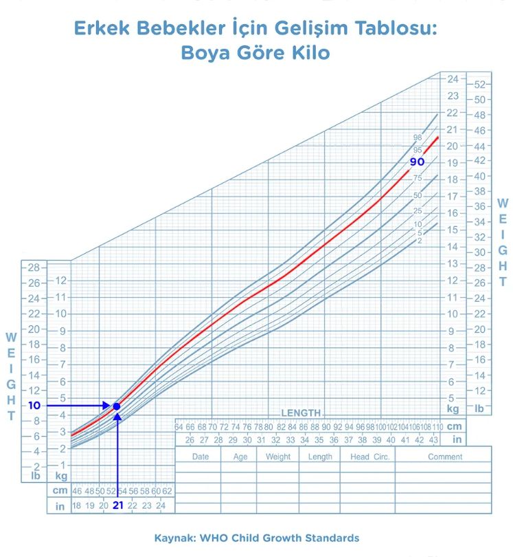 Bebeklerde aylık kilo artışı