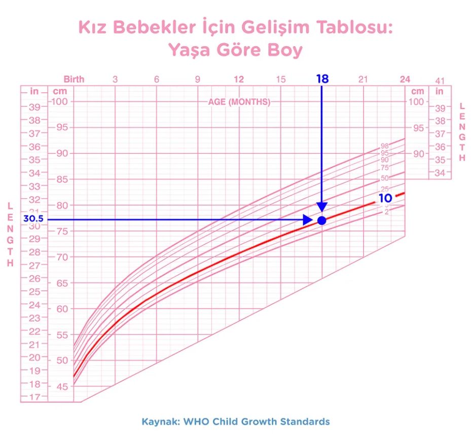 Bebeklerde aylık kilo artışı