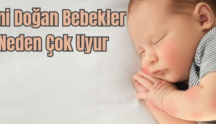 Yeni Doğan Bebekler Neden Çok Uyur