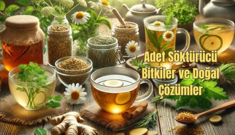 Adet Söktürücü Bitkiler ve Doğal Çözümler